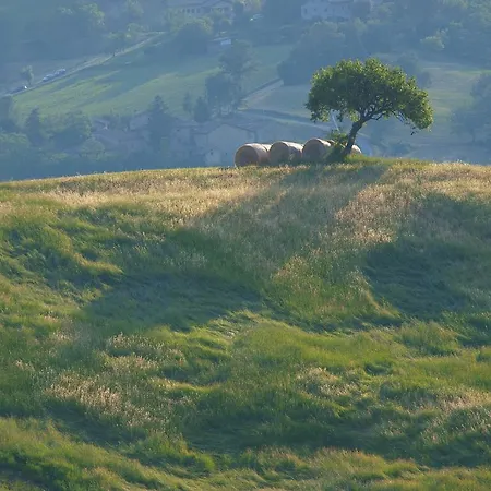 Parco Matildico Di Montalto