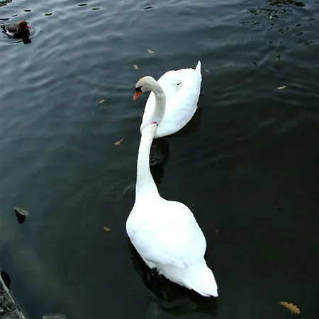 Parco vacanze Parco Matildico Di Montalto