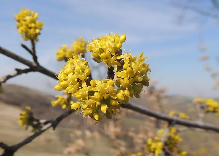 Prázdninový areál Parco Matildico Di Montalto Cadelbosco di Sopra