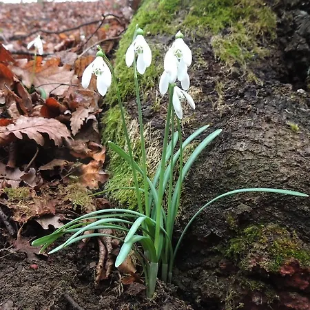 Holiday park Parco Matildico Di Montalto *