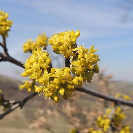 Üdülőpark Parco Matildico Di Montalto Cadelbosco di Sopra