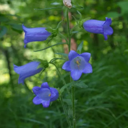 Parco Matildico Di Montalto Cadelbosco di Sopra