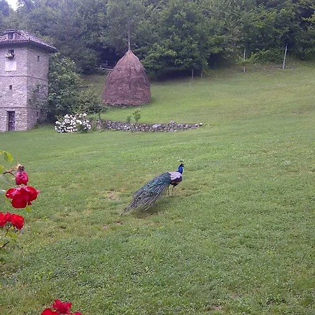 Üdülőpark Parco Matildico Di Montalto