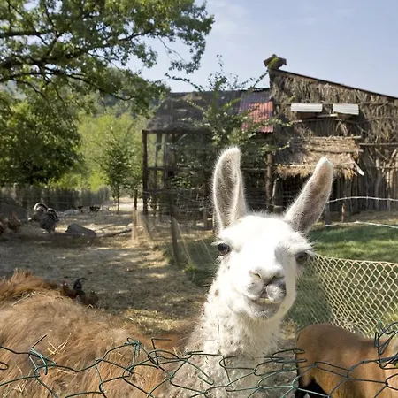 Parco Matildico Di Montalto Cadelbosco di Sopra
