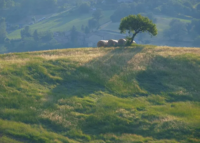 Parco Matildico Di Montalto