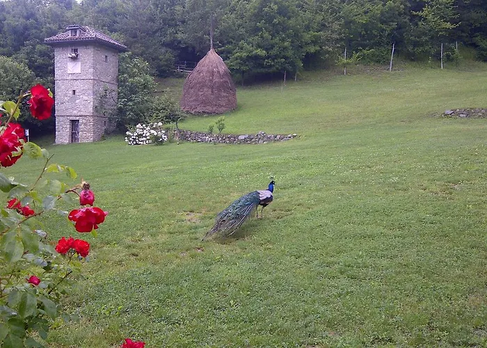 Vakantiepark Parco Matildico Di Montalto