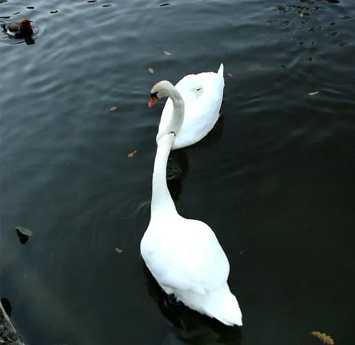 Vakantiepark Parco Matildico Di Montalto