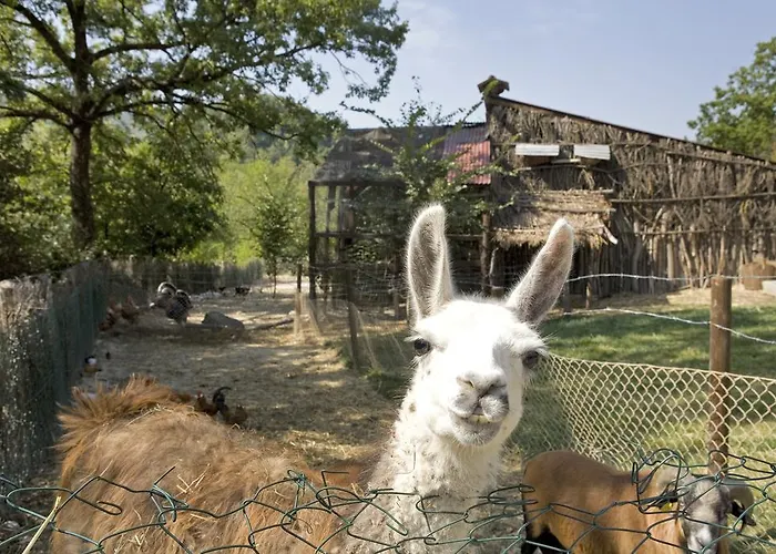 Parco Matildico Di Montalto Cadelbosco di Sopra